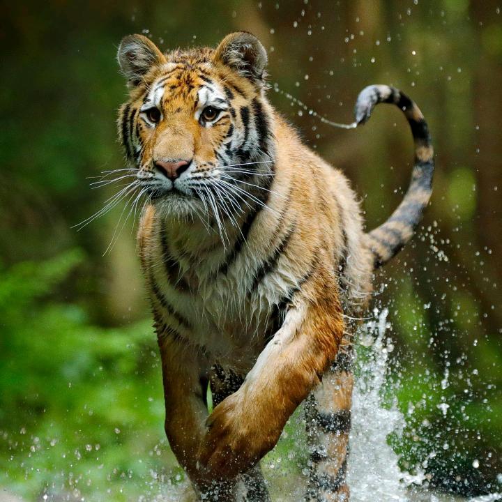 半醉半醒半人生