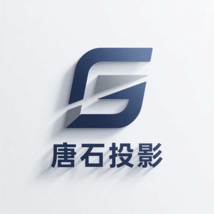 唐石投影