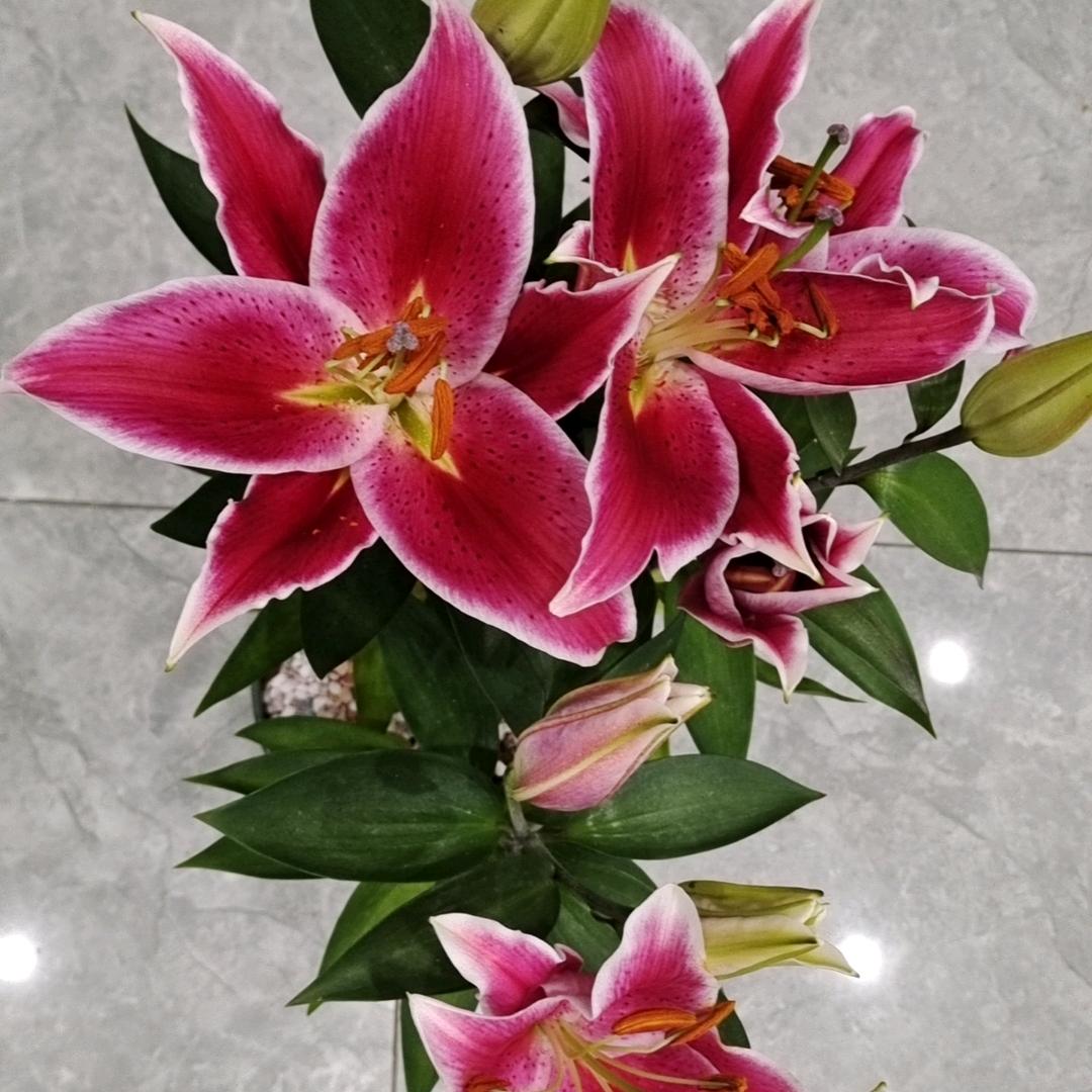 玻璃胶五金配件