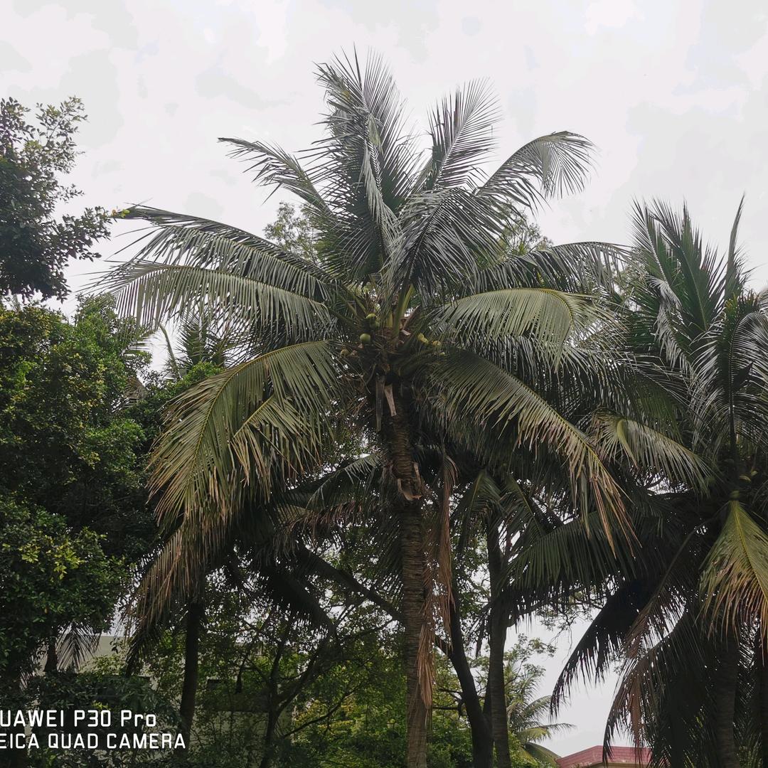 @এ᭄清ོོ风ོོζั༊