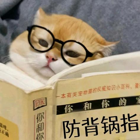 来自木星的小国王