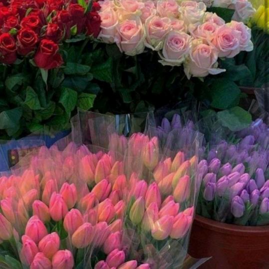 青青芳草