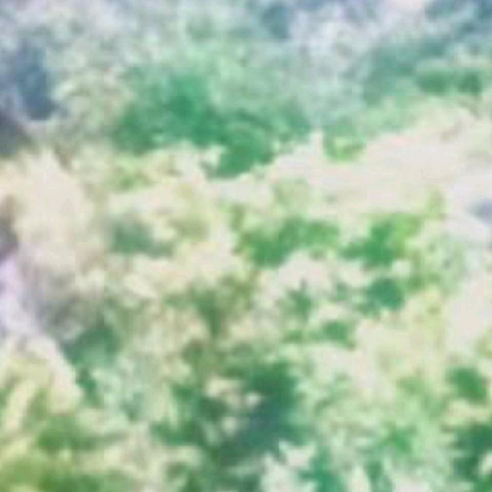 用户8092164067940