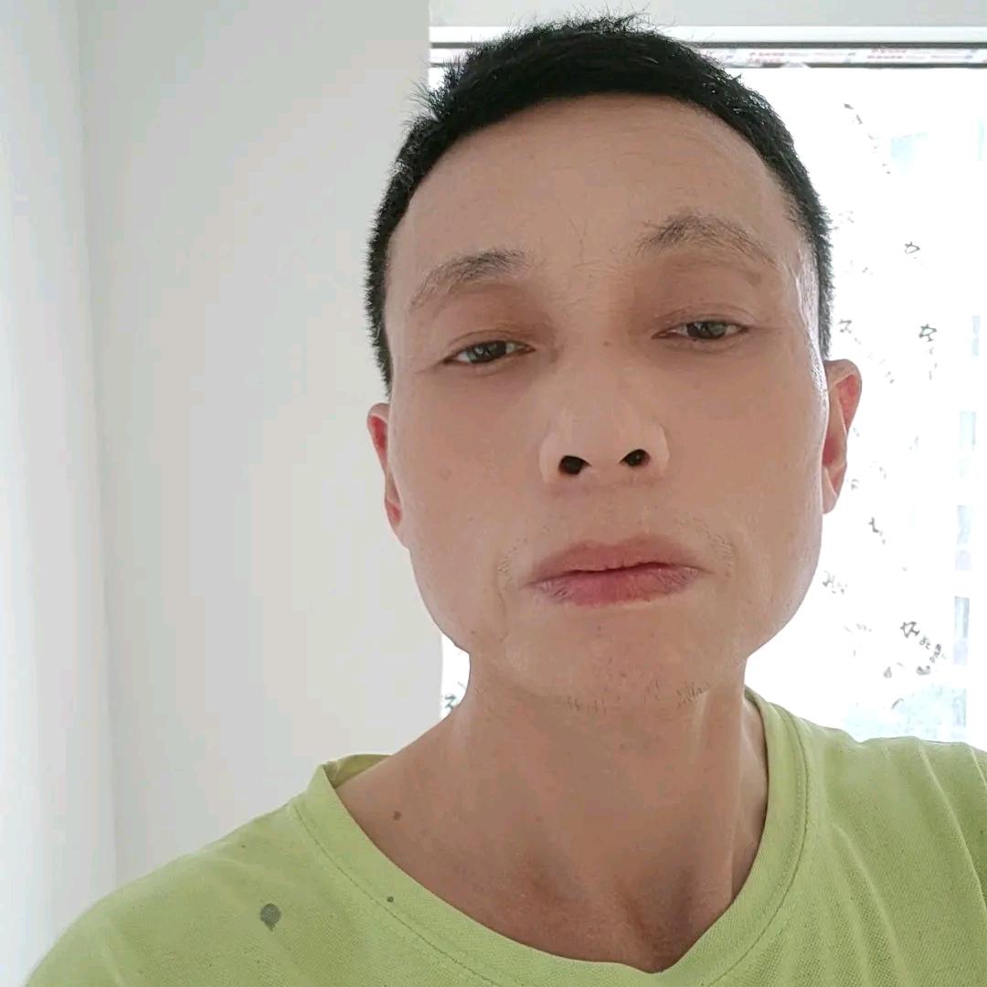 小鸟飞飞