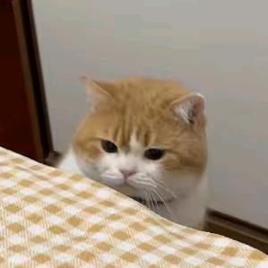 比奇堡消防队长