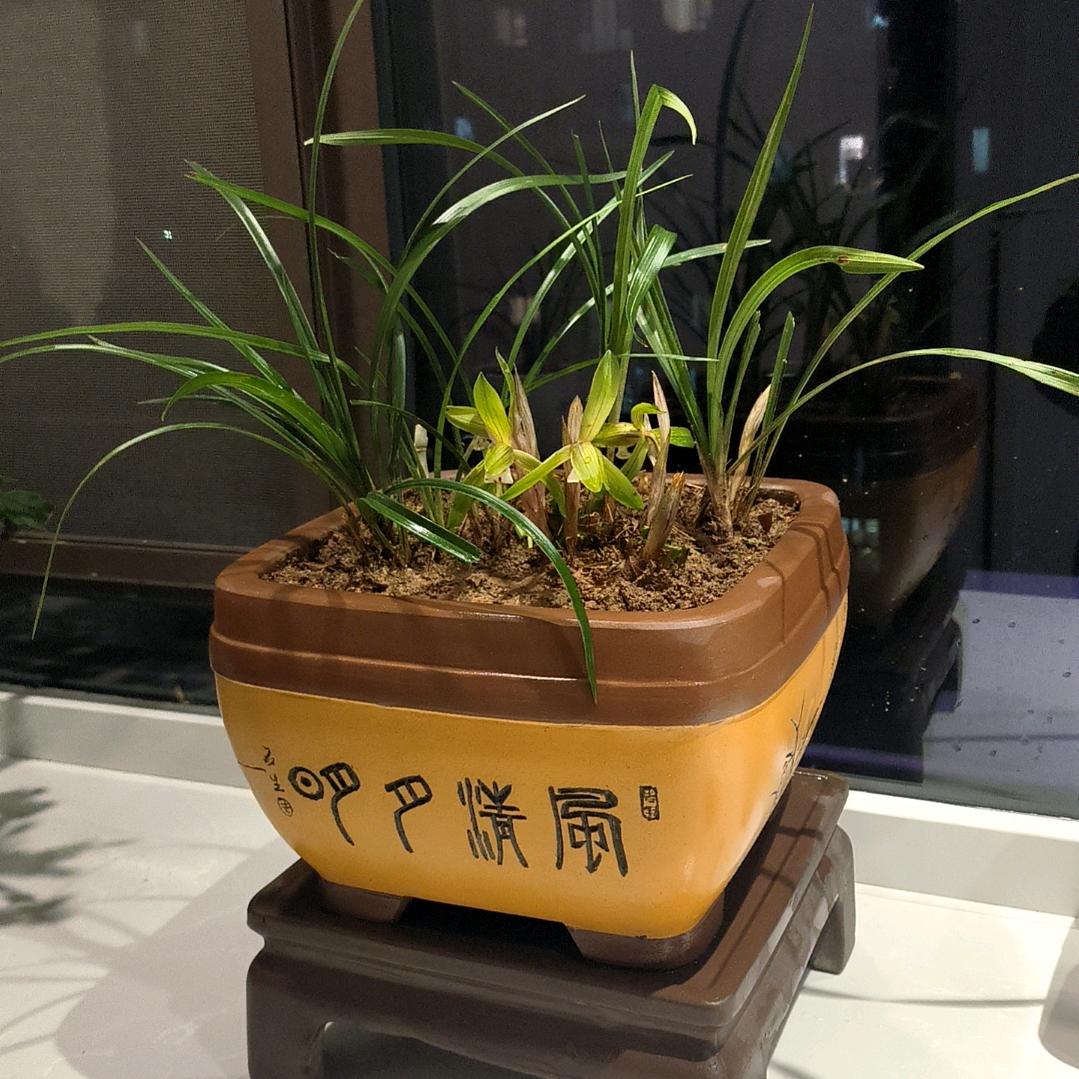 焕然一新