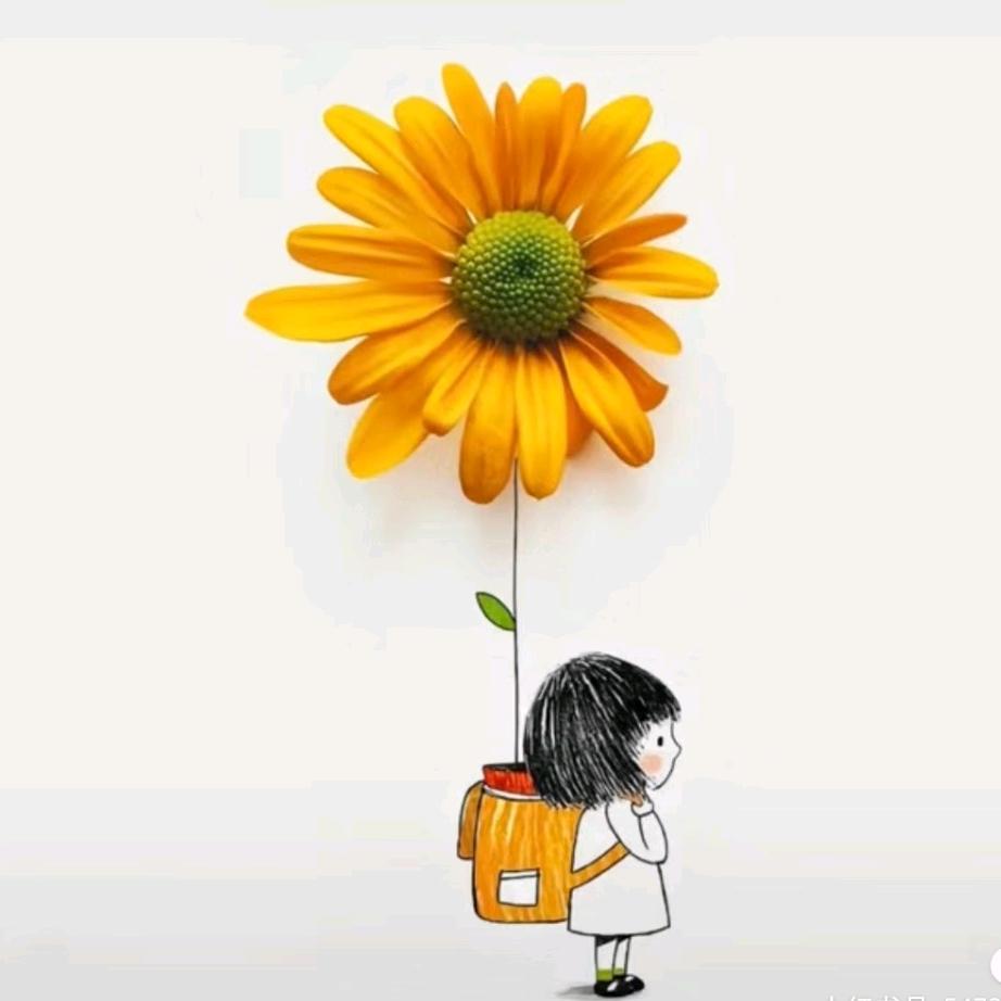 不加冰的四季
