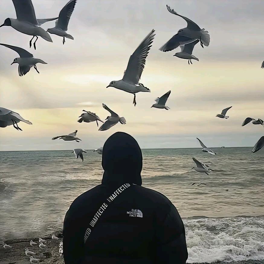 闪闪发光的大博哥