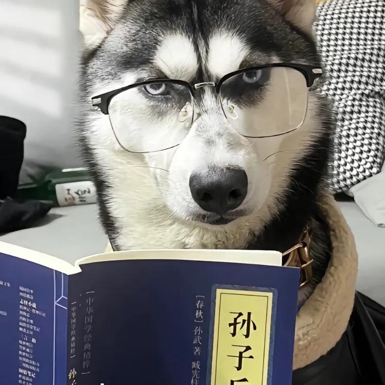 哪里有彩虹告诉我？