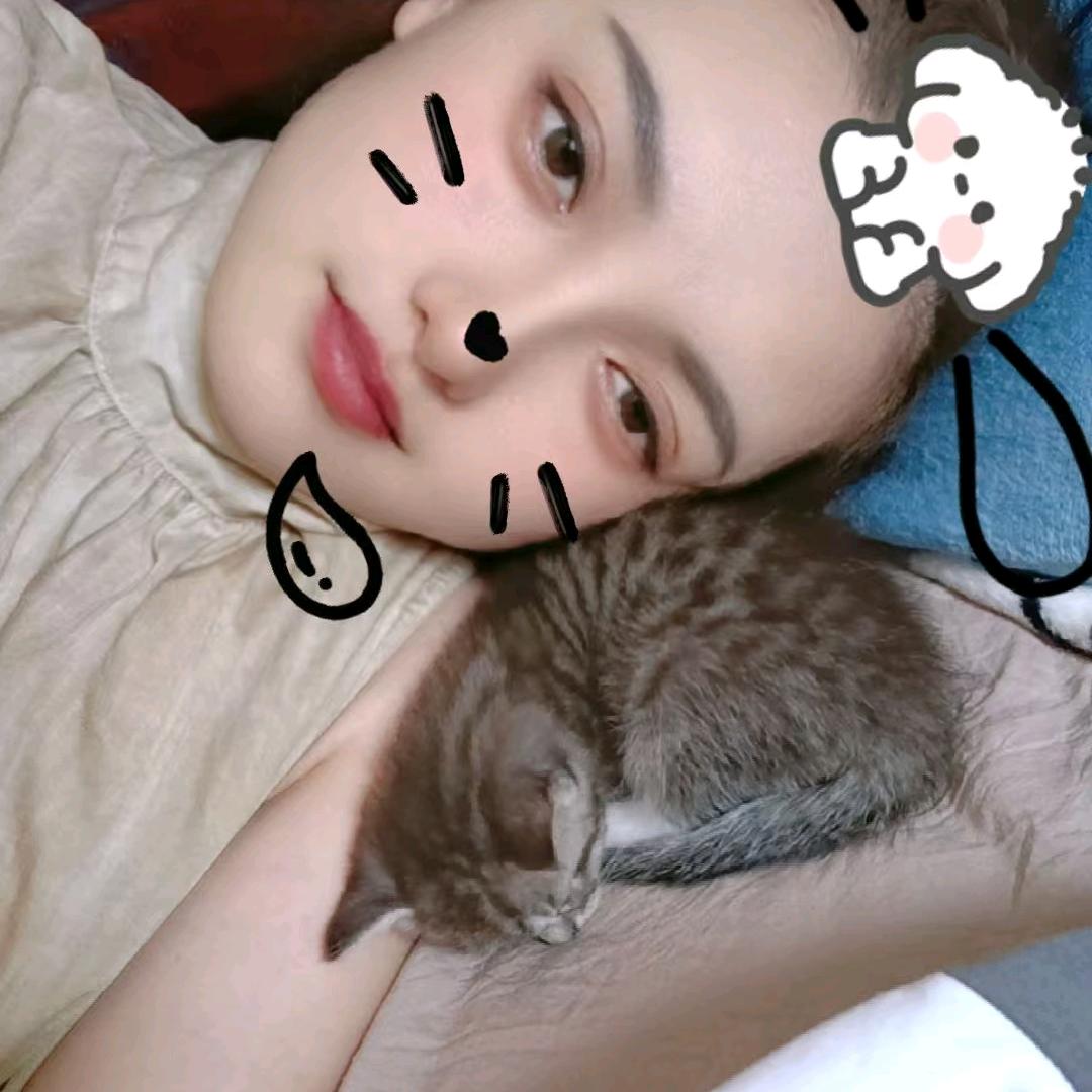 ❤ (ɔˆз(ˆ⌣ˆc)丹