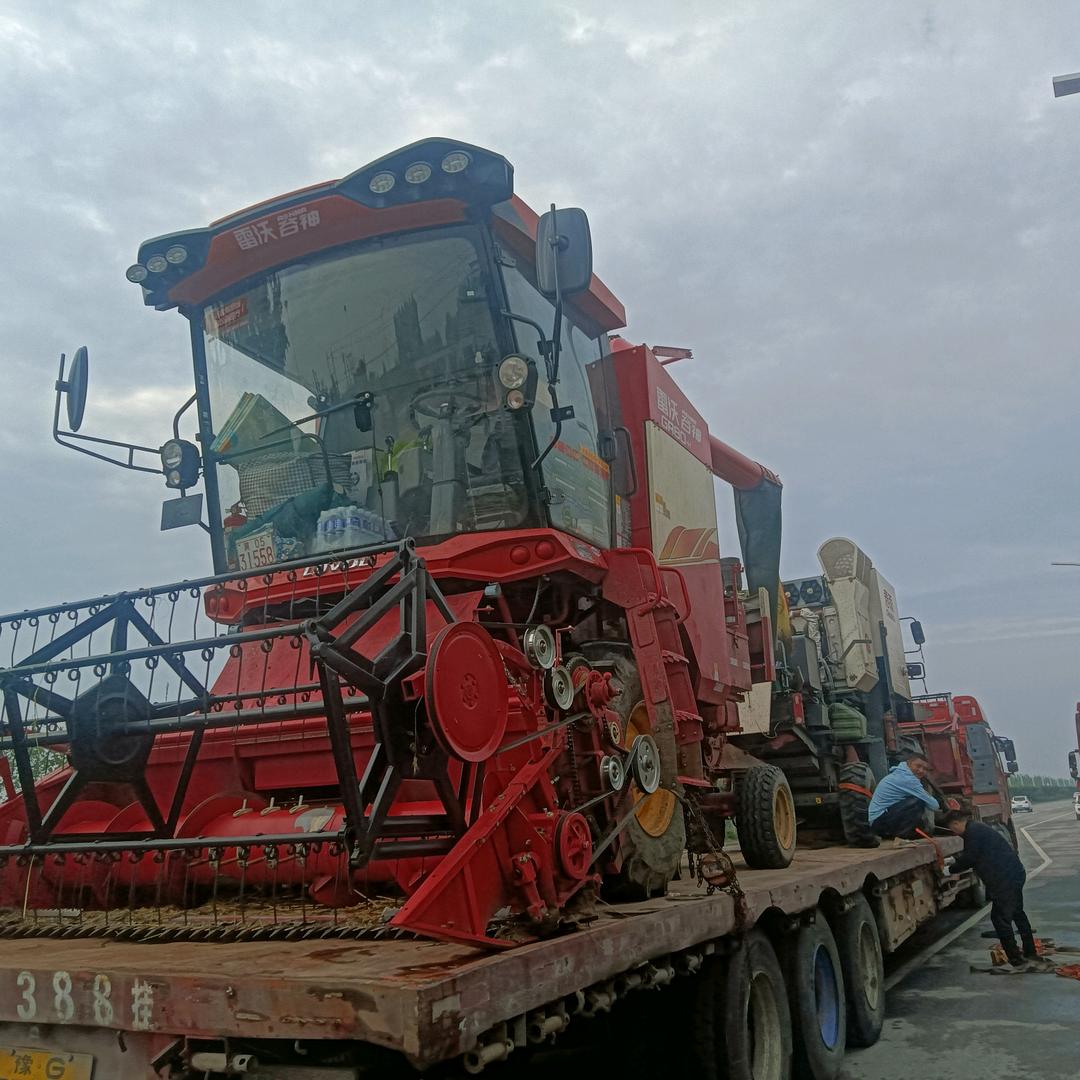 农业00后，张总