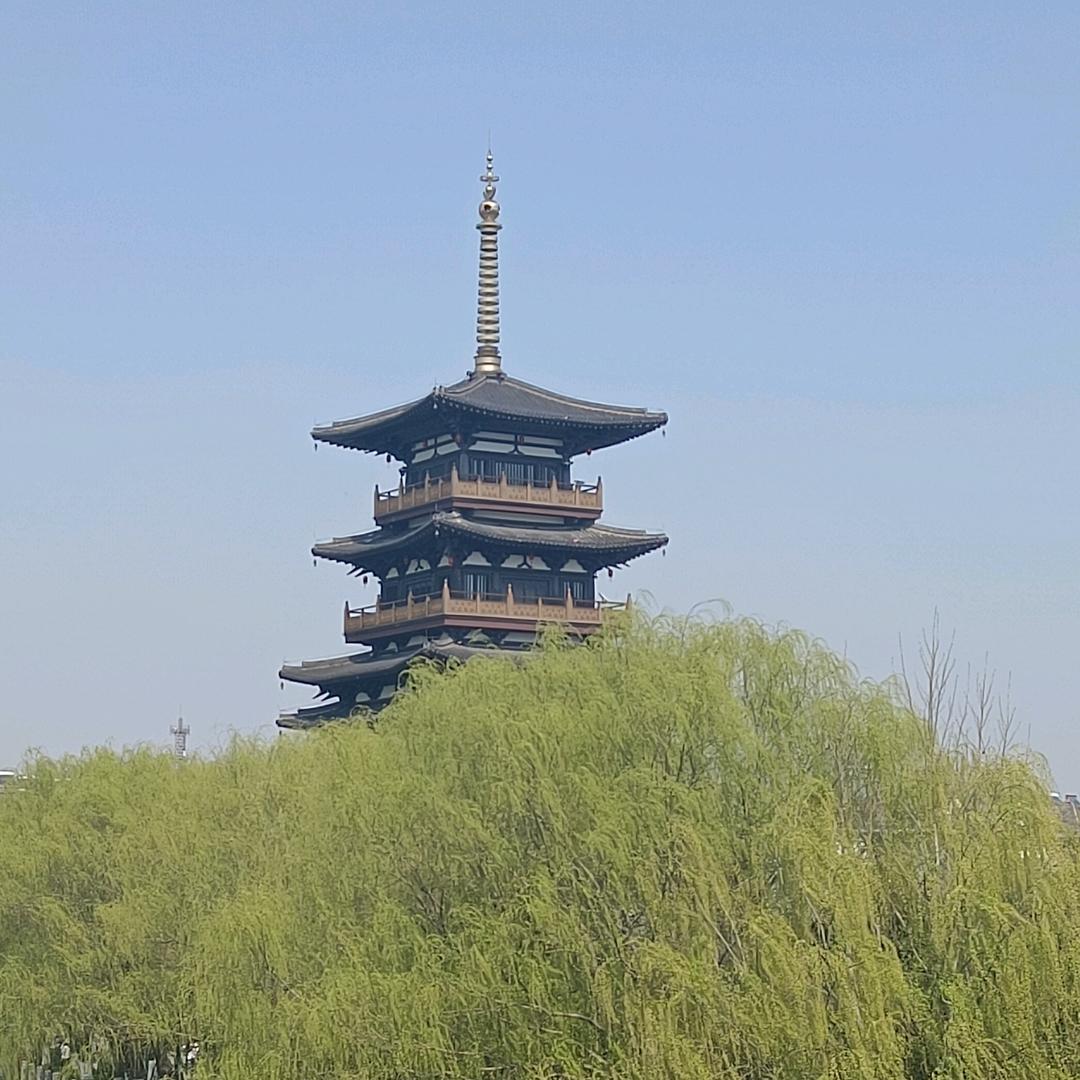 人生如茶