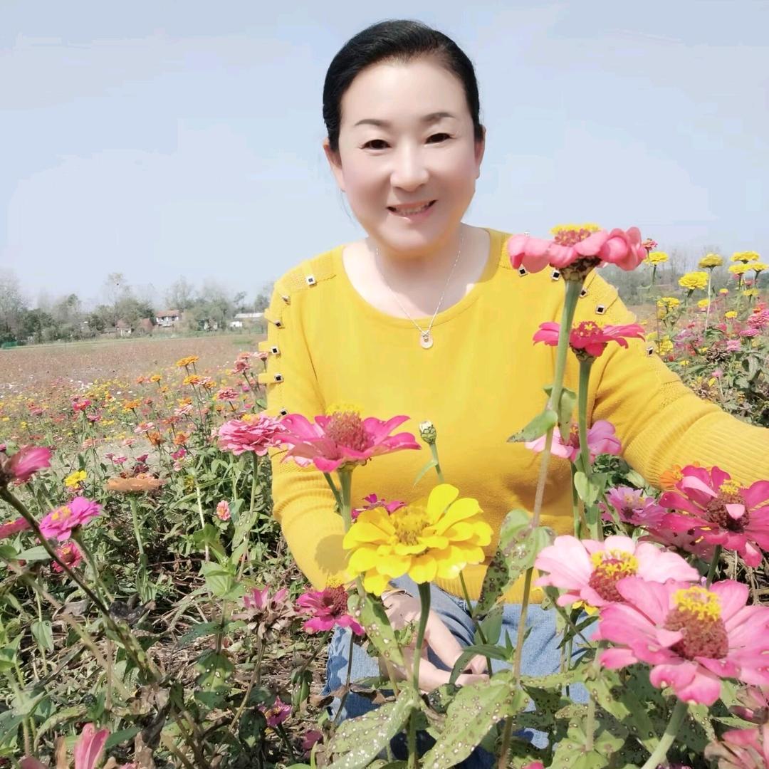 红太狼🌺