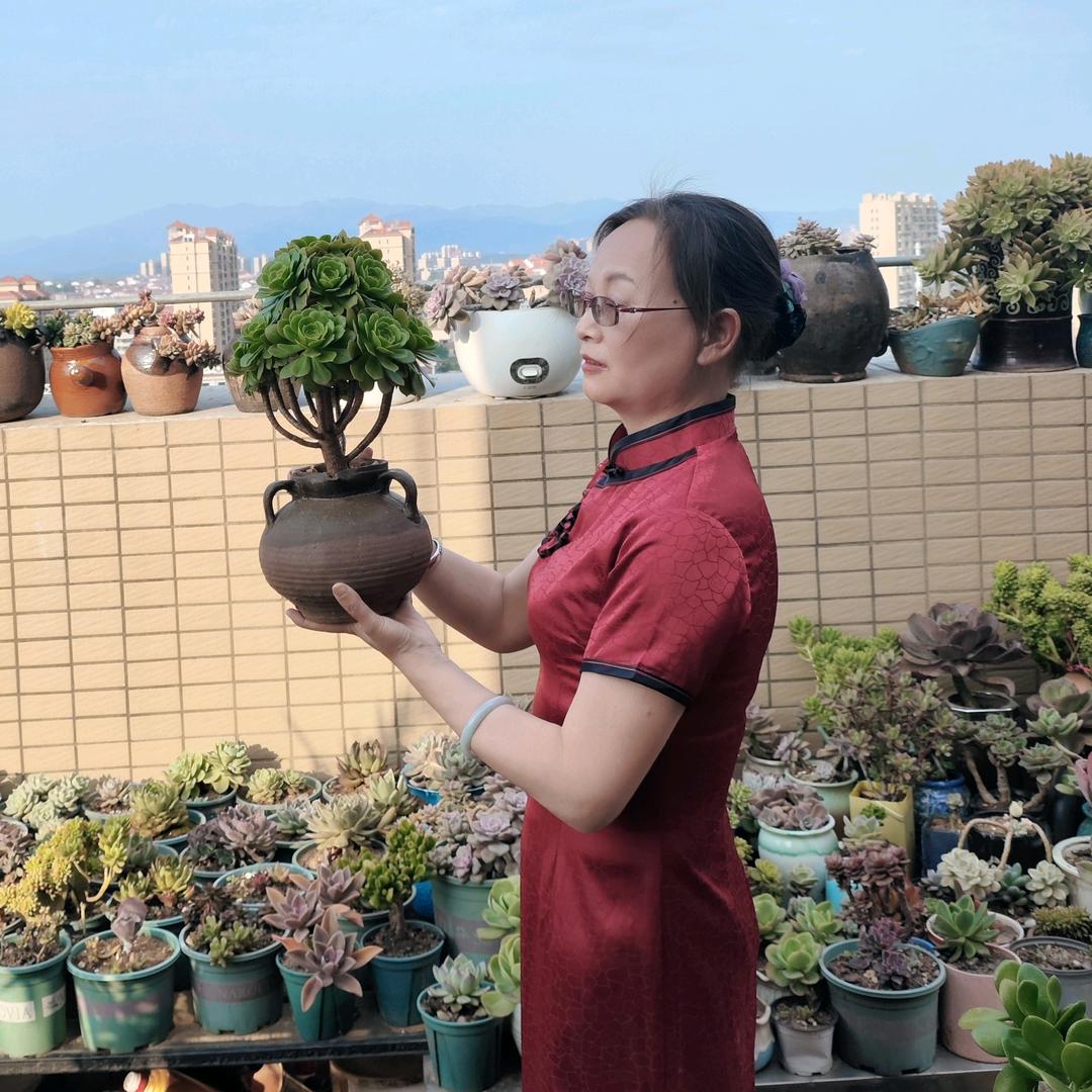 岁月如花（橱窗有好物，不自用不分享）