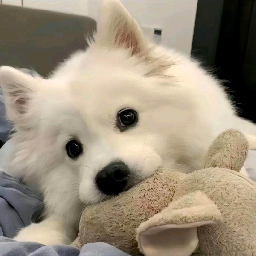 💛很困