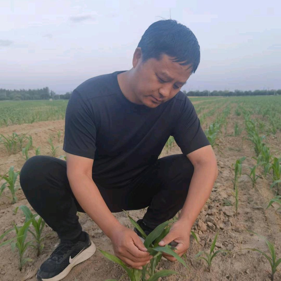迅捷老郭说农业