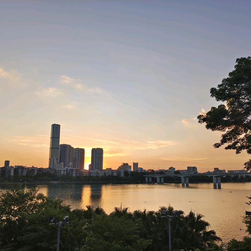 浮乐乔