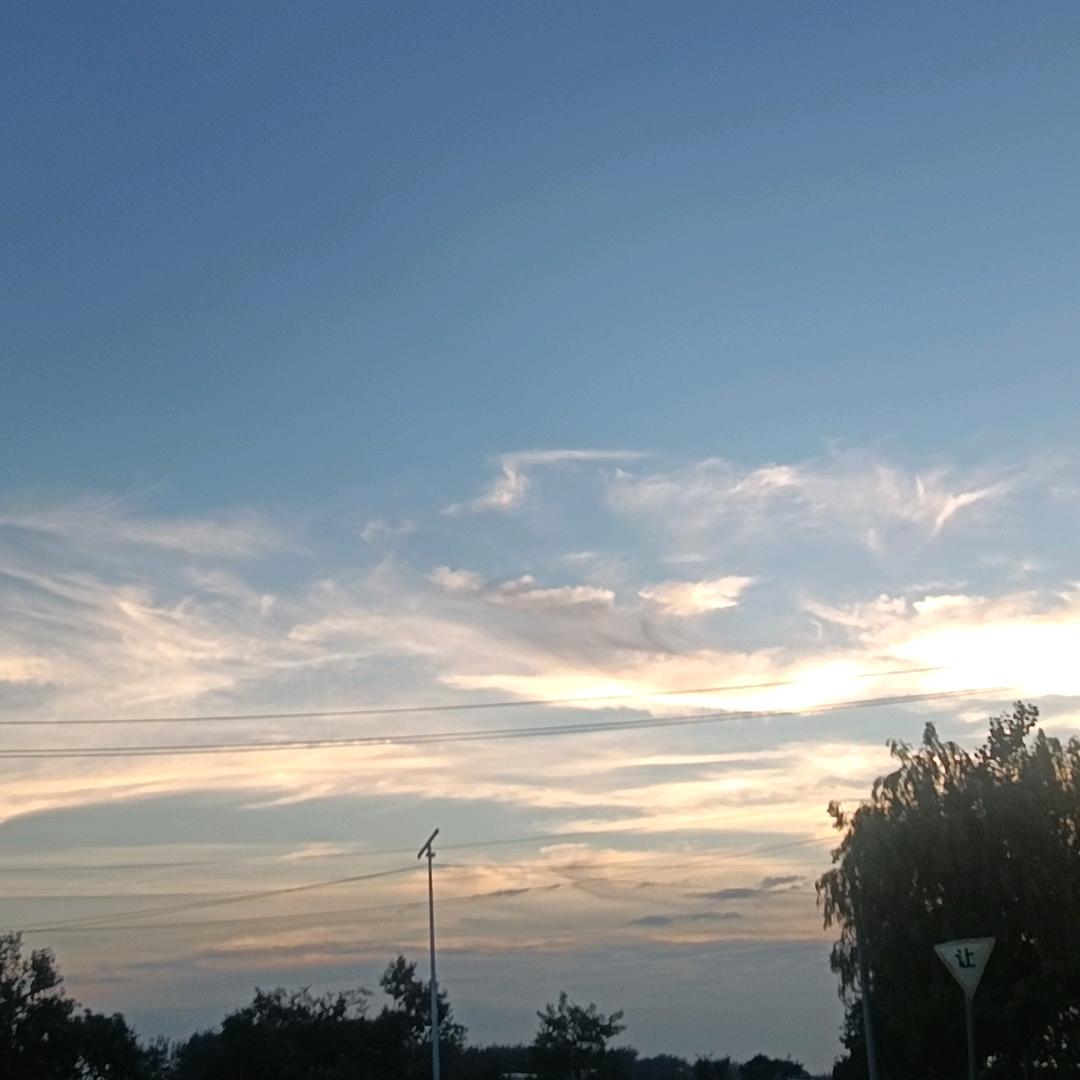H.Y