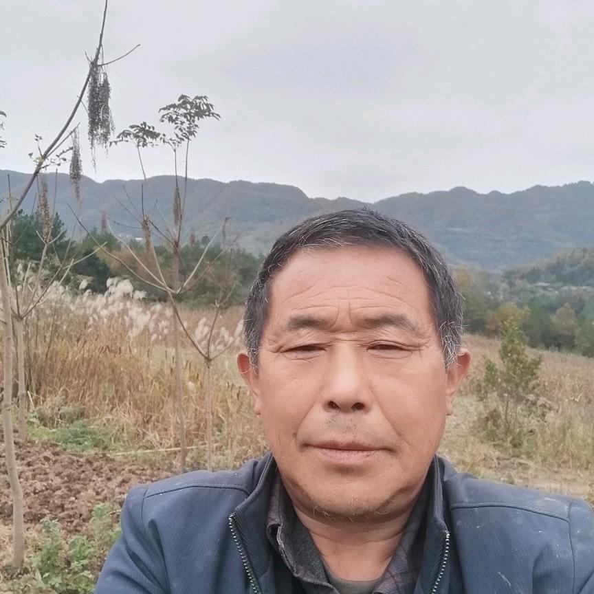 苦乐一生