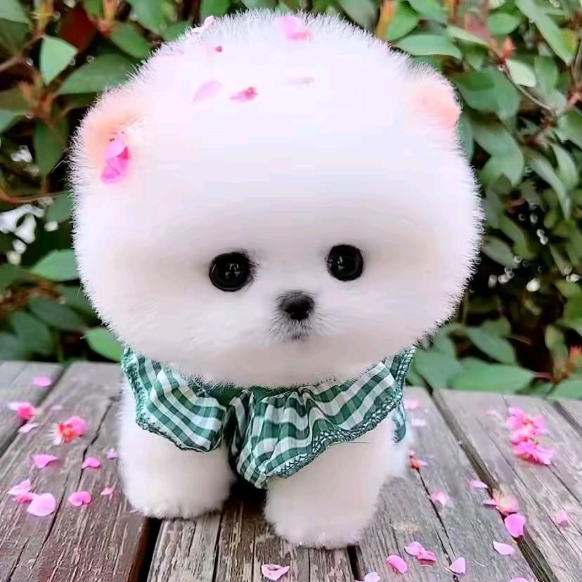 在哪里倒下就在哪里爬起来？