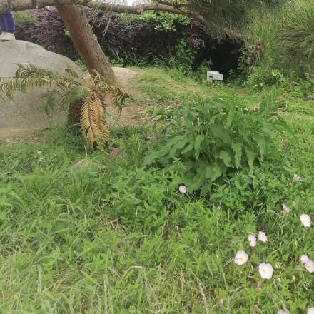 你是我的唯一👨‍👩‍👧‍👦