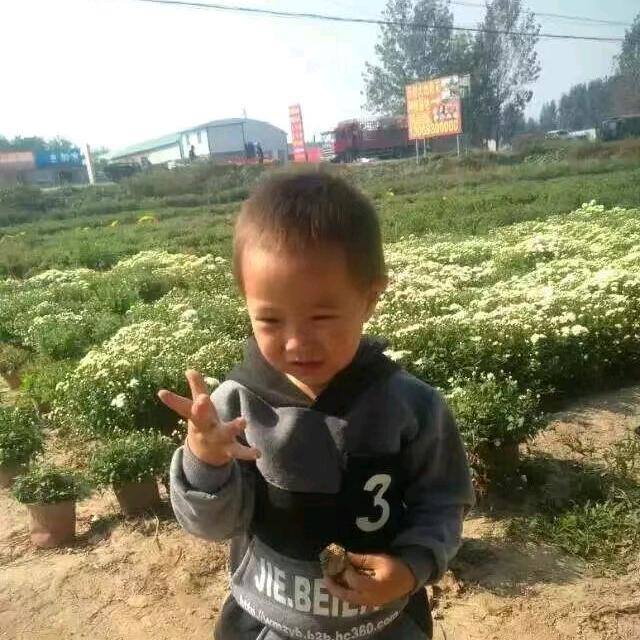 李氏百年传承美又白