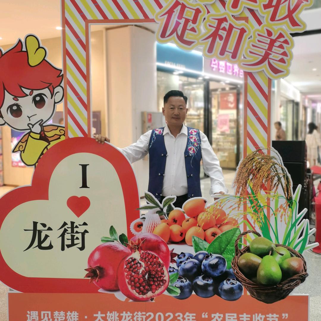 楚雄彝歌杨老表
