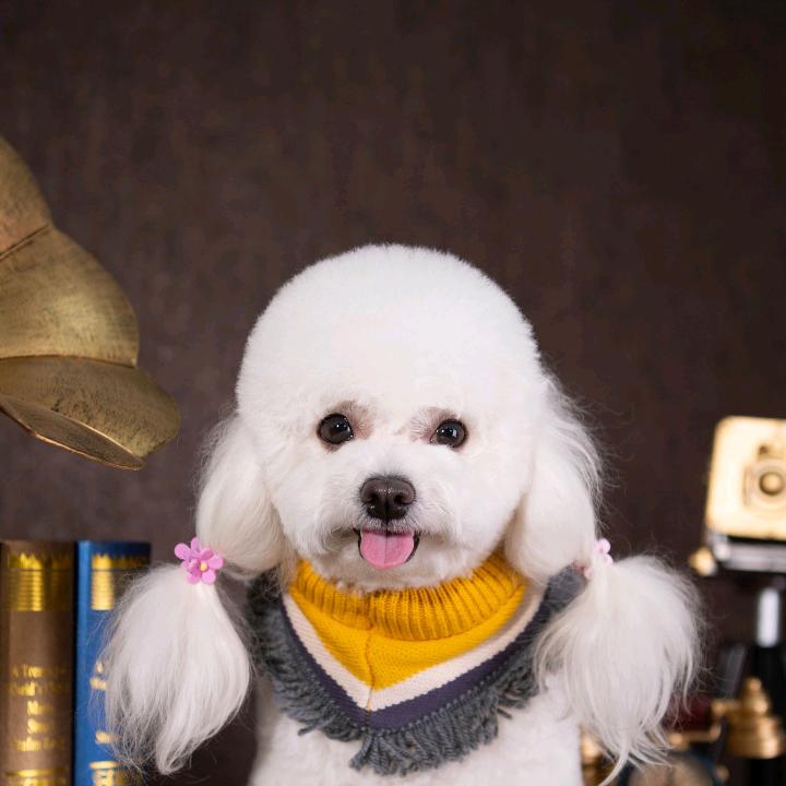 一升轻