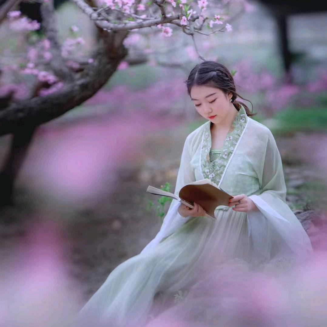 芝仪（括律）