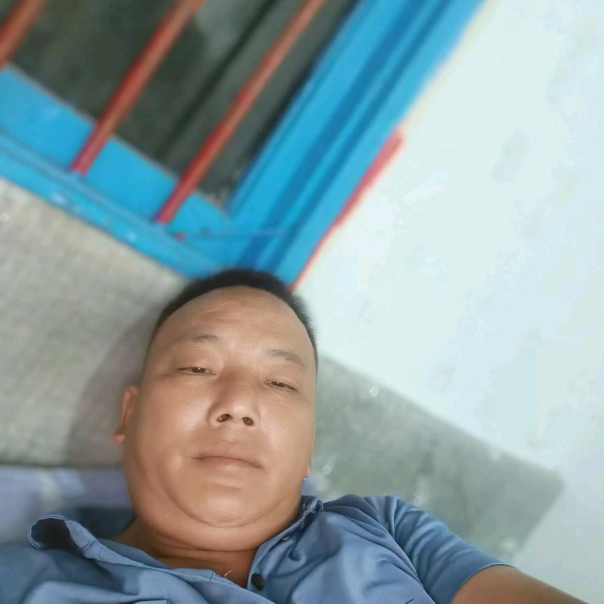专业支木打混力土