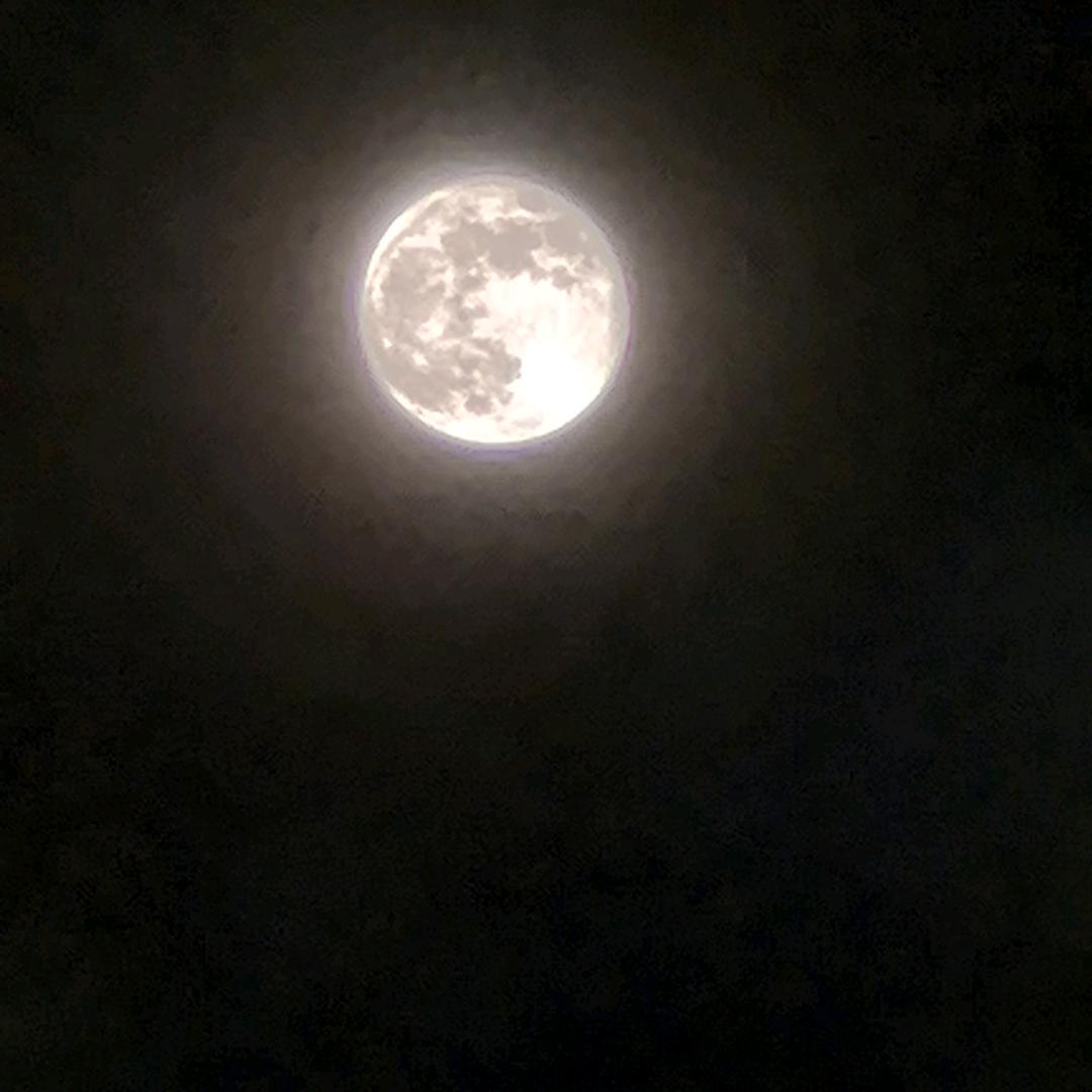 琪-琪