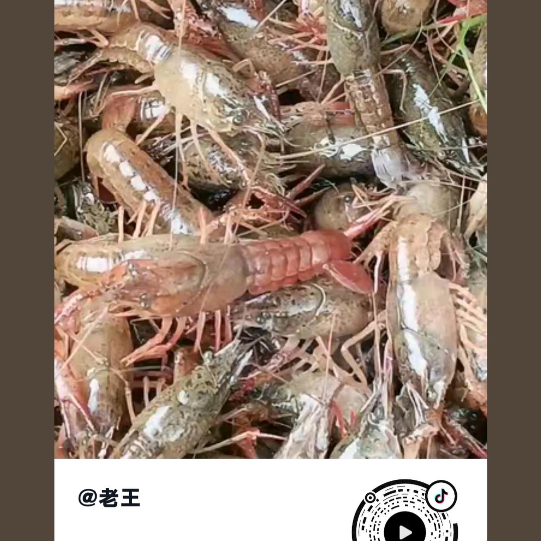 老王