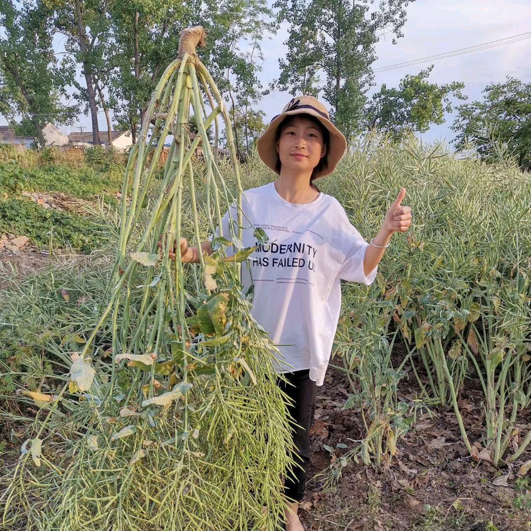 颍上县六十铺老牛农资
