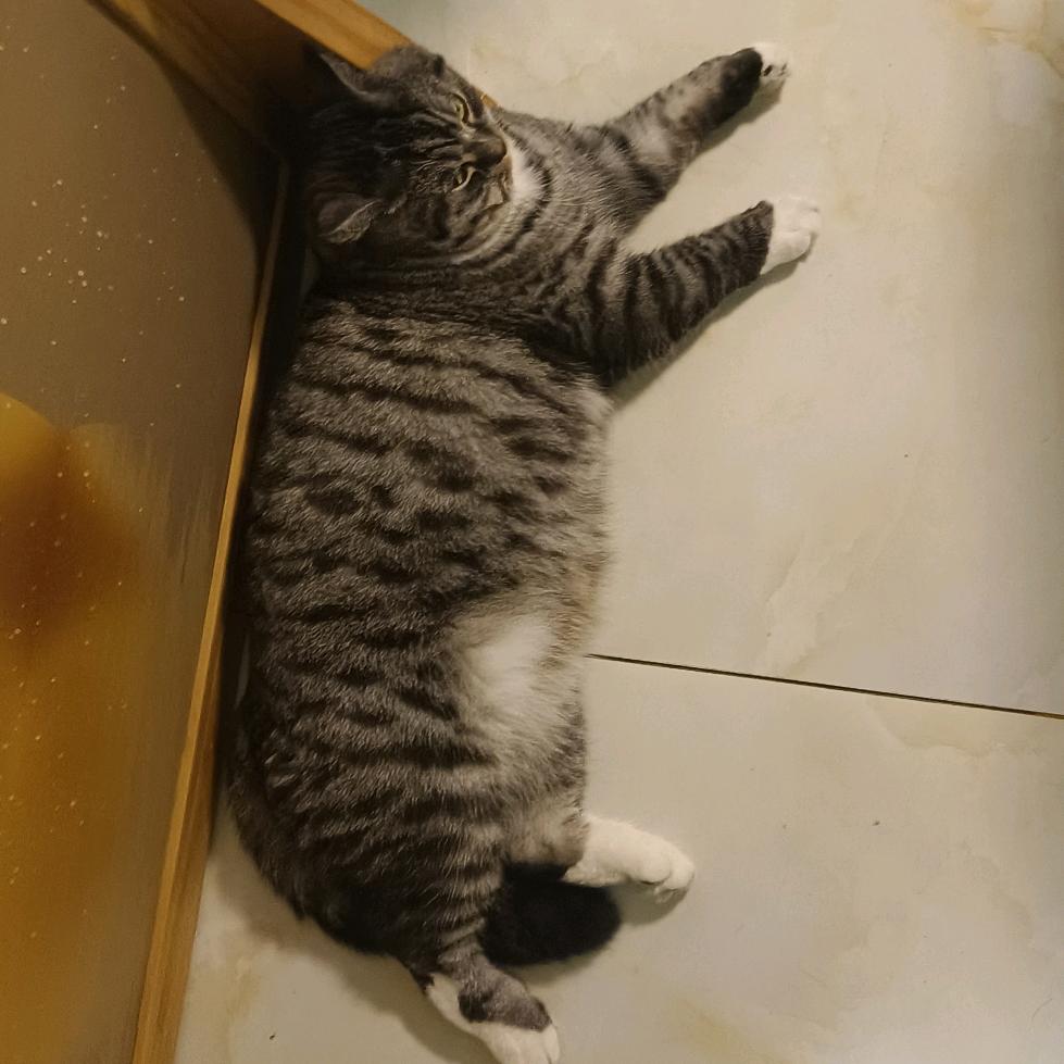 话说