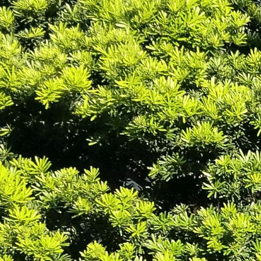 用户9107801231135