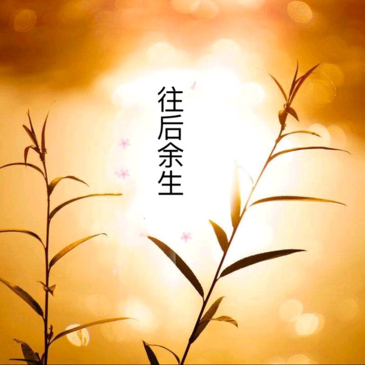 岁月静好