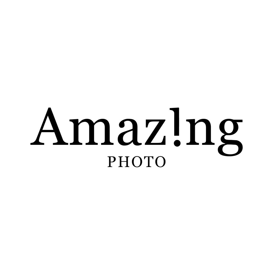 AMAZING PHOTO甬美摄影宠粉号