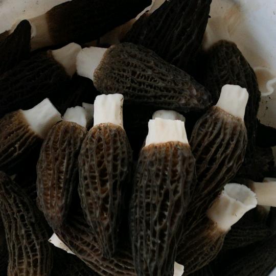 四季
