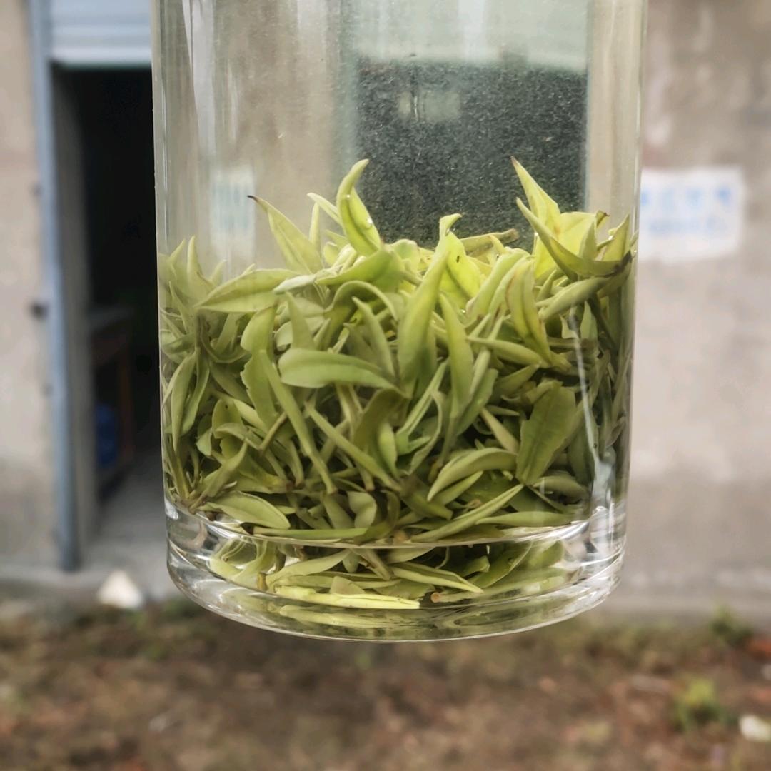 郎溪县茗轩茶叶种植家庭农场