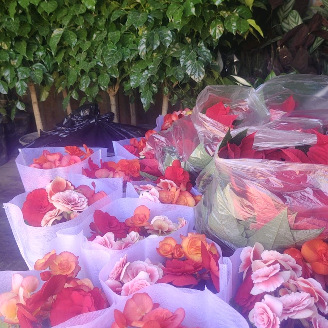 小龙虾配送批发