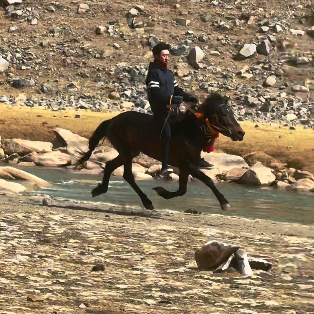 玉树赛马平台🐴