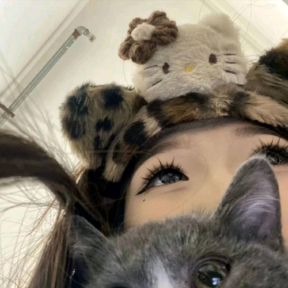 Y🐾