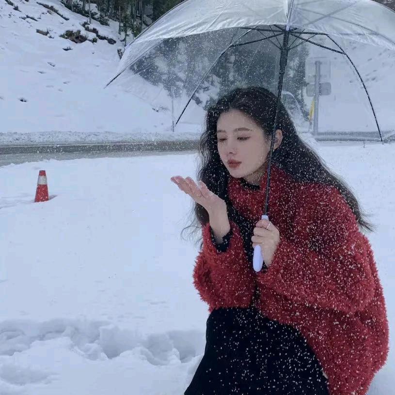 伴雪纷飞