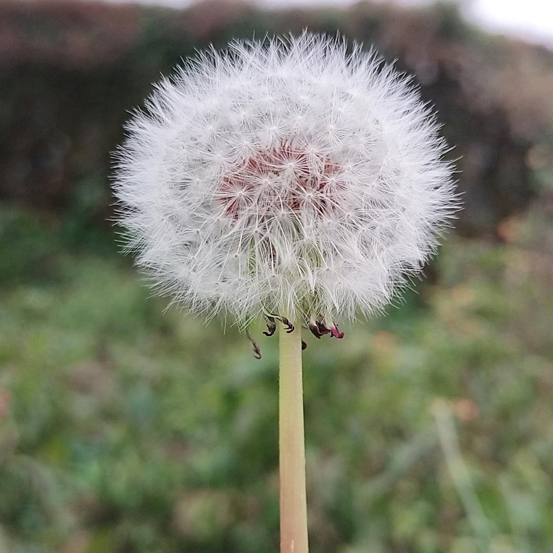 🌻ღ᭄ꦿ꯭小钱景დ᭄🌻