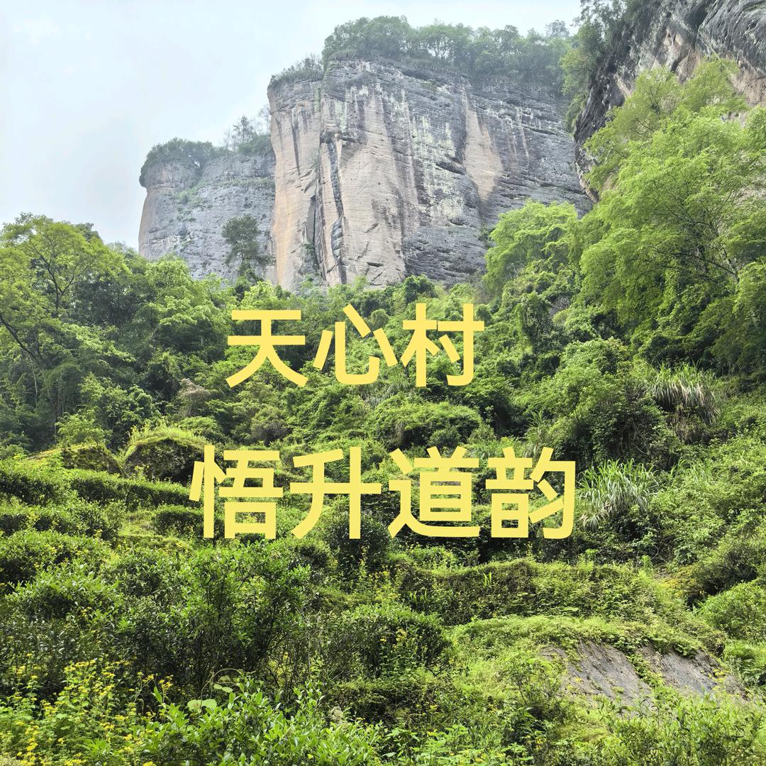 悟升道韵（天心村）
