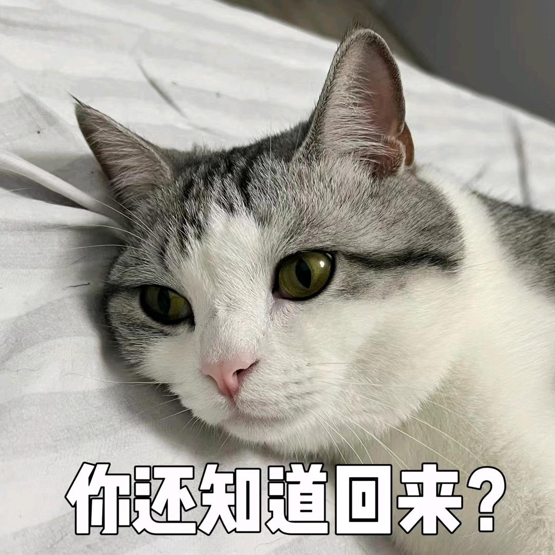 米愉快