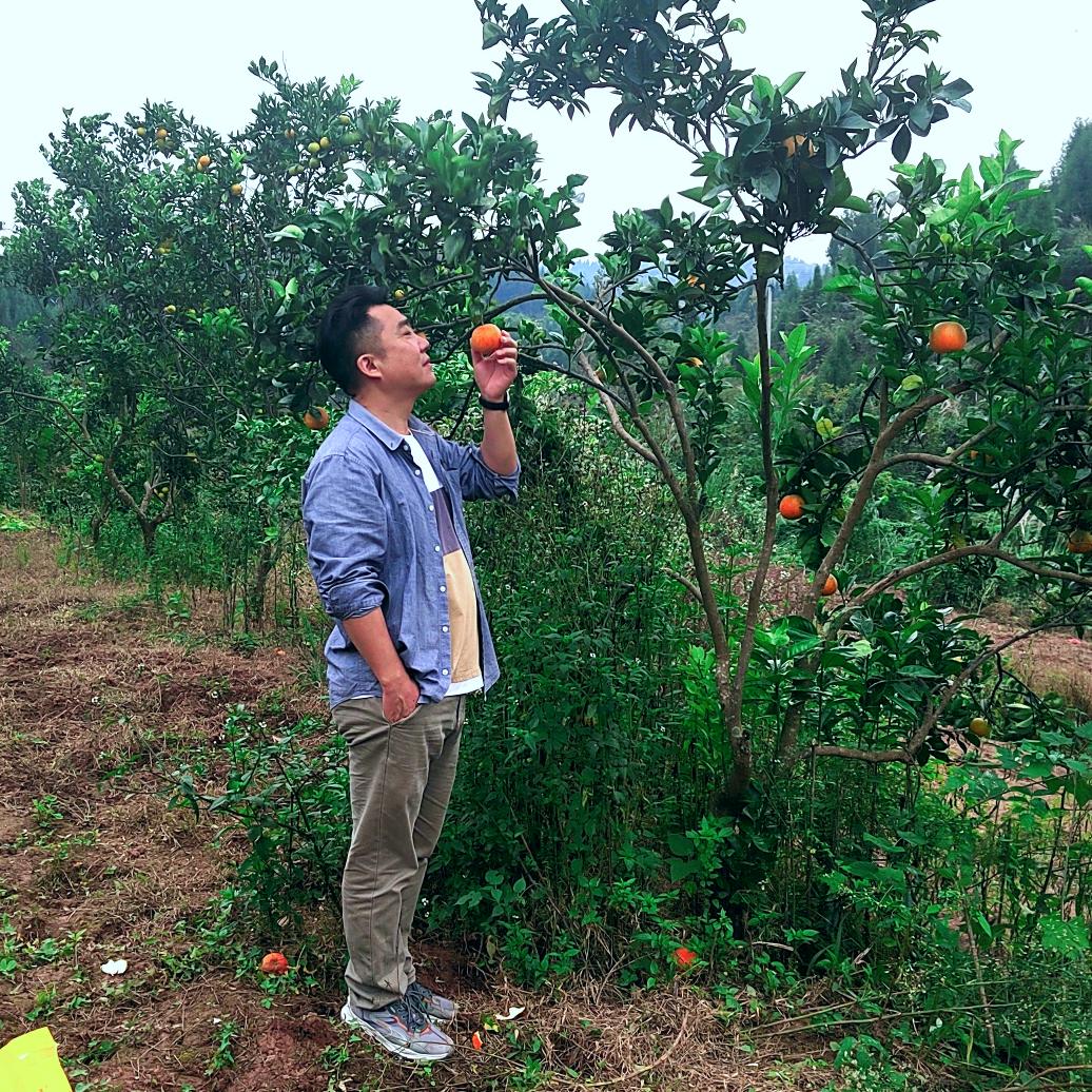 @大燕  （写字）