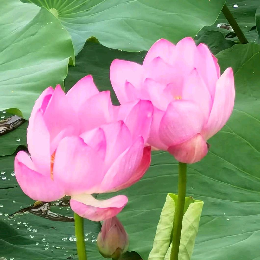 平安、
