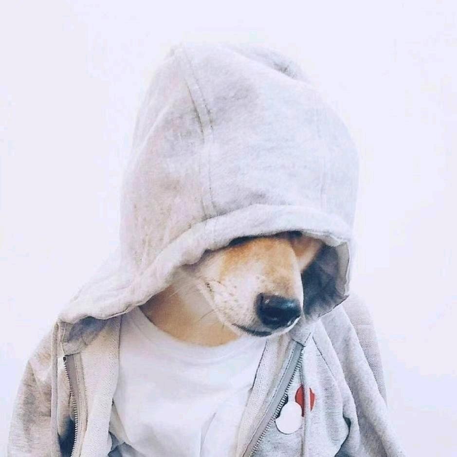 夏天已过