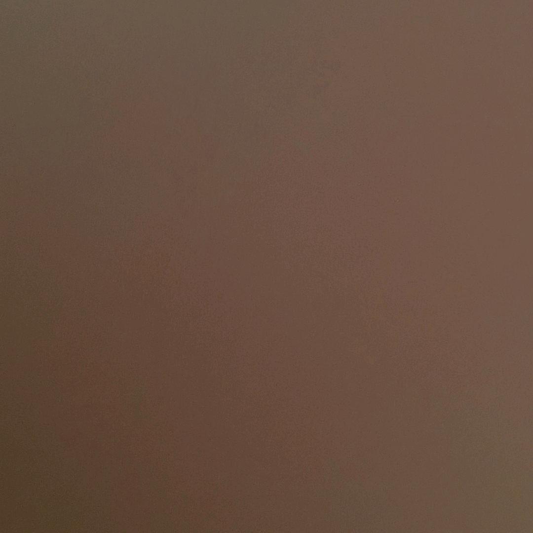 🐼